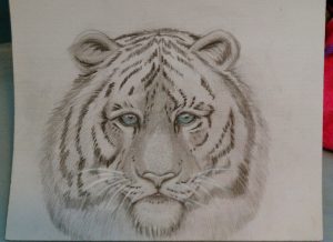 White tiger fantasy artwork