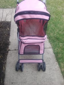 funny cat strollers 